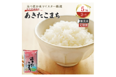 無洗米 定期便 3ヶ月 あきたこまち 5kg 白米 米 お米 コメ お米マイスター お米マイスター厳選 無洗米秋田こまち 秋田こまち 3回 お楽しみ 岩手 岩手県 盛岡市