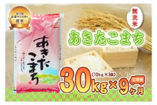 【9か月定期便】盛岡市産あきたこまち【無洗米】30kg×9か月