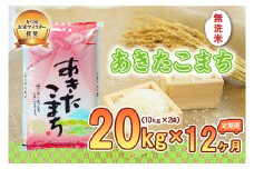 【12か月定期便】盛岡市産あきたこまち【無洗米】20kg×12か月