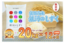 米 定期便 12ヶ月 五つ星お米マイスター推奨 銀河のしずく 無洗米 20kg × 12か月 佐々木米穀店 お米 20キロ 小分け 岩手 盛岡市産 白米 精米 特産 産地直送 おすすめ こめ コメ おこめ 送料無料 盛岡 岩手県 盛岡市 定期 お楽しみ 12回