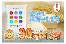 【12か月定期便】盛岡市産銀河のしずく【無洗米】30kg×12か月