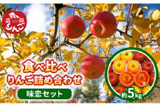 りんご 先行予約 味恋セット 盛岡りんご 4種 約 5kg 朝島観光りんご園 サンふじ こうこう はるか シナノコールド 食べ比べ 詰め合わせ セット フルーツ 果物 旬のフルーツ 岩手 岩手県 盛岡 盛岡市 12月発送