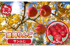 先行予約【12月発送】朝島観光りんご園 盛岡りんご「サンふじ」約5kg 果物類 フルーツ デザート 果汁 甘い 酸味 バランス 完熟 