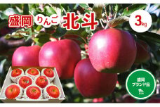 10月末～順次発送【先行予約】朝島りんご生産組合 盛岡りんご りんご 北斗約3kg(7～9個)