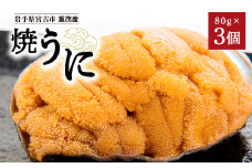 高級珍味「焼うに」3ヶセット_ 焼ウニ うに 珍味 海鮮 魚介 人気 おすすめ 送料無料 贈答 ギフト 岩手県 宮古市 冷凍 セット 【1023929】