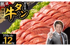 三陸宮古の塩を使用した熟成牛タンスライス味付け1.2kg(200g×6)_ 牛肉 肉 お肉 牛たん タン たん 焼肉 人気 美味しい 【1278101】