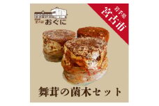＜家庭で楽しめる＞舞茸の菌木　3個【1290639】
