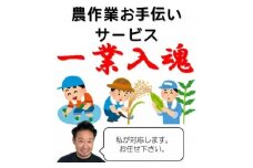 岩手県宮古市　農作業お手伝いサービス＜1回(1日):7時間以内＞【1361022】