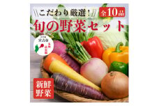 ＜新鮮野菜＞こだわり厳選!旬の野菜セット【1374254】