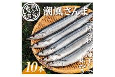 潮風さんま10本【1462758】