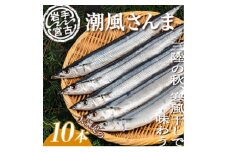 潮風さんま10本【1462758】