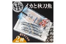 いか一夜干し1p・潮風さんま4本 2種セット【1462811】