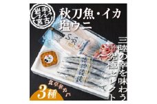 いか一夜干し1p・潮風さんま4本・塩うに1ケ　3種セット【1462936】