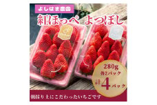 ＜数量限定＞2025年1月より順次発送『紅ほっぺ』『よつぼし』約280g×各2パック計4パック【1520245】