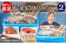 ＜三陸厳選＞岩船商店おまかせ海産物詰め合わせセット(2)【1523123】