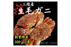 ＜先行予約(2月発送)＞岩手県より獲れたて鮮魚直送便 ＜生毛ガニ300g×2杯＞【1554532】