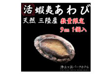 ＜先行予約(12月発送)＞岩手県より獲れたて鮮魚直送便 ＜活蝦夷アワビ150g×1個＞【1557332】