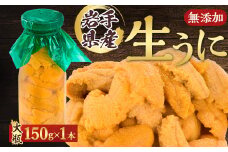 ＜2026年4月下旬以降順次発送＞無添加生うに大瓶(150g×1本)岩手県産　ミョウバン不使用_ うに ウニ 雲丹 キタムラサキウニ 生うに 無添加 岩手県産 ミョウバン不使用 送料無料 【1520279】