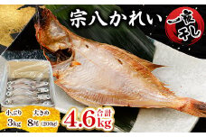 一夜干し宗八かれい4.6kgセット_ 干物 かれい カレイ 一夜干し 魚 さかな ひもの おかず 焼魚 焼き魚 唐揚げ 南蛮漬け 朝食 朝ごはん ご飯のお供 おつまみ 魚介類 海産物 国産 岩手県 ギフト プレゼント 冷凍 送料無料 【1521613】
