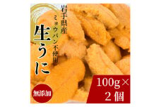＜2026年4月下旬以降順次発送＞天然生うに100g×2パック岩手県産　ミョウバン不使用【1625393】
