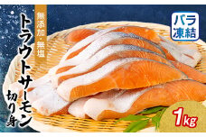 無添加・無塩　トラウトサーモン切身1kg入り【1632507】