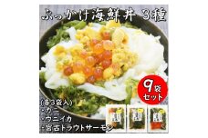 メカブ・イクラ入り!川秀のぶっかけ海鮮丼の具(ウニイカ・カニ・宮古トラウトサーモン)計9袋冷凍セット【1635147】
