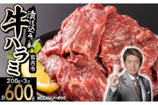 吉田精肉店の漬け込み牛ハラミ 600g(200g×3パック)【1633988】
