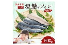 国産 天然 塩鯖 フィレ 骨取り 三陸の恵み 冷凍 500g 岩手県宮古市【1652981】