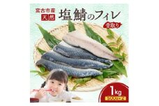 国産 天然 塩鯖 フィレ 骨取り 三陸の恵み 冷凍 1kg 500g×2袋 岩手県宮古市【1652989】