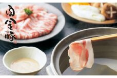 白金豚しゃぶしゃぶセット計１kg（ロース肉500g,モモ肉500g） 【032】