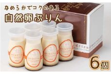 花巻の自然卵（和み農園産）使用「なめらか自然卵プリン6個入り」 【021】