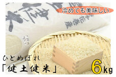 岩手花巻産「健土健米」ひとめぼれ 6kg 【111】