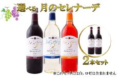 月のセレナーデ2本セット（赤・赤）  エーデルワイン　【042-3】