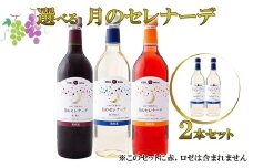 月のセレナーデ2本セット（白・白)　エーデルワイン 【042-5】