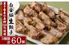 カスイ　生餃子詰合せ 【076】