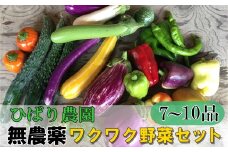ひばり農園の無農薬ワクワク野菜セット 《6月より発送開始》 【289】