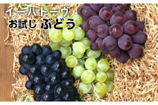 ＜予約受付開始！＞イーハトーヴ ぶどう お試し詰め合わせ 4パック入り 【292】