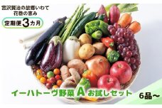 【定期便３ヶ月】 イーハトーヴ野菜A  お試しセット6品～ 【293】