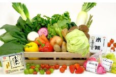 厳選米とイーハトーヴ野菜セット 【321】