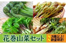 花巻の旬の山菜集めました！花巻山菜１㎏セット　＜３種以上詰合せ＞ 【411】