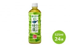 綾鷹525mlペットボトル　２４本セット 【432】