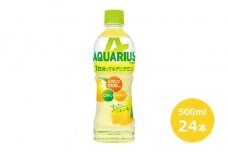 アクエリアス1日分のマルチビタミン500mlペットボトル　２４本セット 【434】