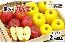 イーハトーヴ 訳あり りんご お試し（2kg以上）セット《11月より発送予定/予約受付》 【005-11】