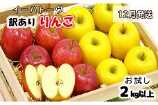 イーハトーヴ 訳あり りんご お試し （2kg以上）セット《12月より発送予定/予約受付》 【005-12】
