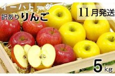 イーハトーヴ 訳アリ りんご 約５ｋｇセット《１１月より発送予定/予約受付》 【280-11】