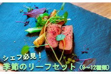 シェフ必見！季節のリーフセット（9～12種類） 【479】