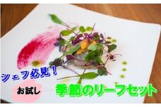 シェフ必見！お試しリーフセット 【480】