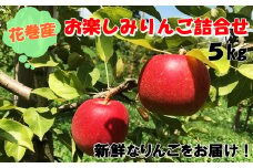 花巻産 訳あり お楽しみ りんご 詰め合わせ ５kg 【508】