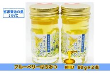 【無農薬有機栽培ブルーベリー使用】　宮沢賢治の里 いわて ブルーベリーはちみつ 【520】