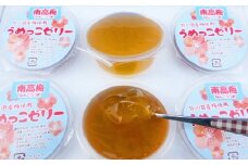 【添加物不使用】うめっこゼリーセット（南高梅） 【525】